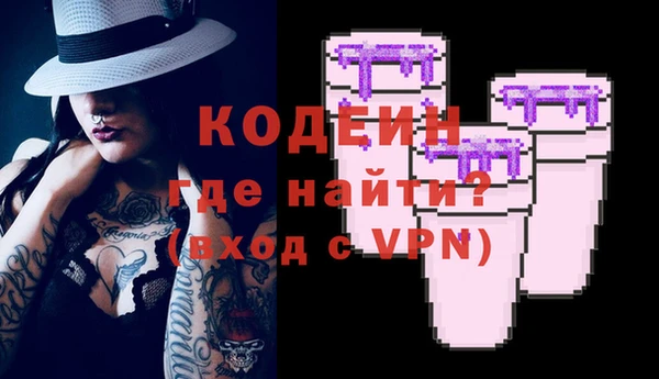 дмт Бородино