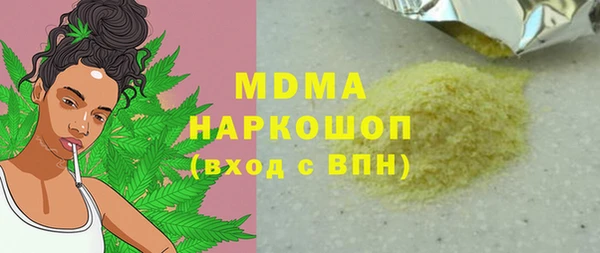 дмт Бородино
