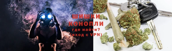 мдпв Бронницы