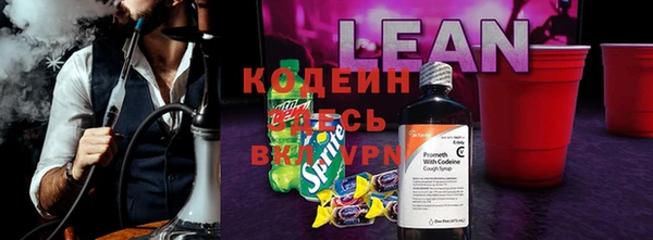 мдпв Бронницы