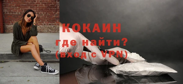 мдпв Бронницы