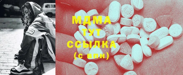дмт Бородино