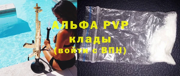 дмт Бородино