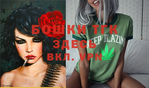 дмт Бородино