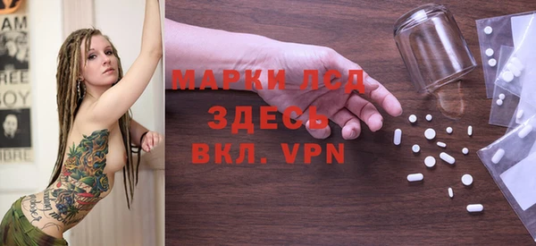 дмт Бородино