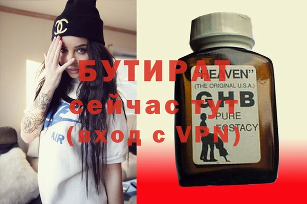 дмт Бородино
