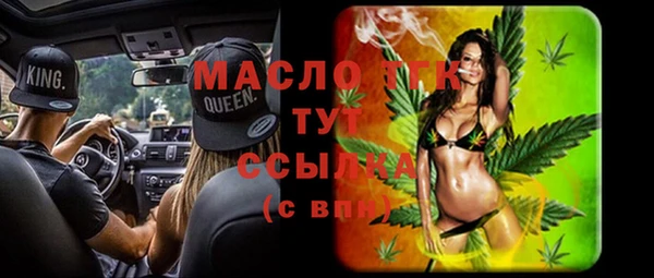 дмт Бородино