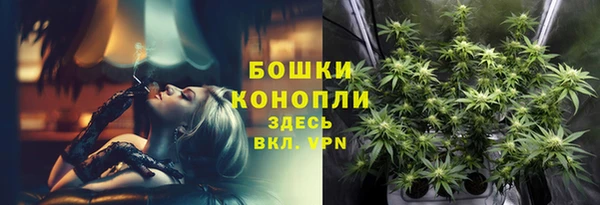 мдпв Бронницы