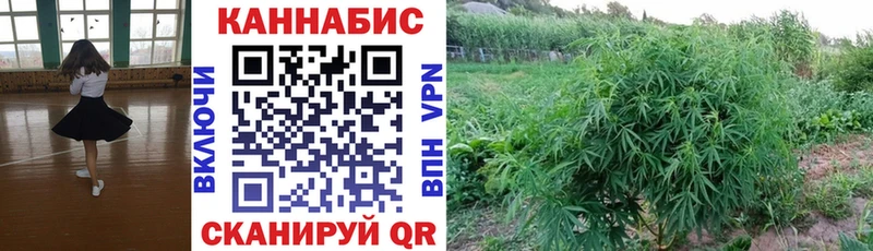 Купить  Макарьев  Конопля планчик 
